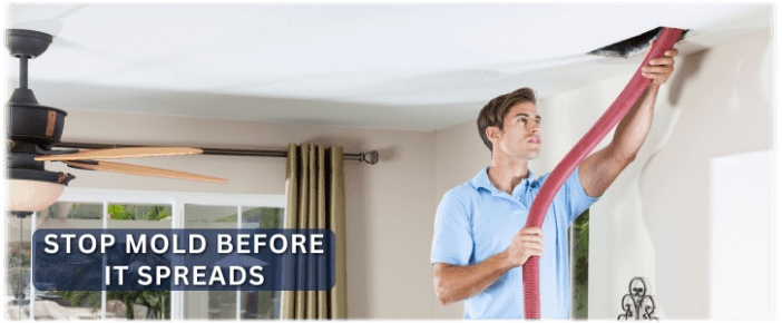 Air Duct Mold Removal in Joliet IL